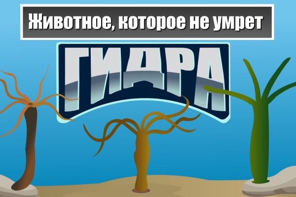 Кракен даркнет только через