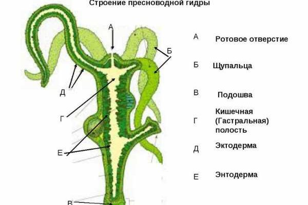 Кракен сайт 13at