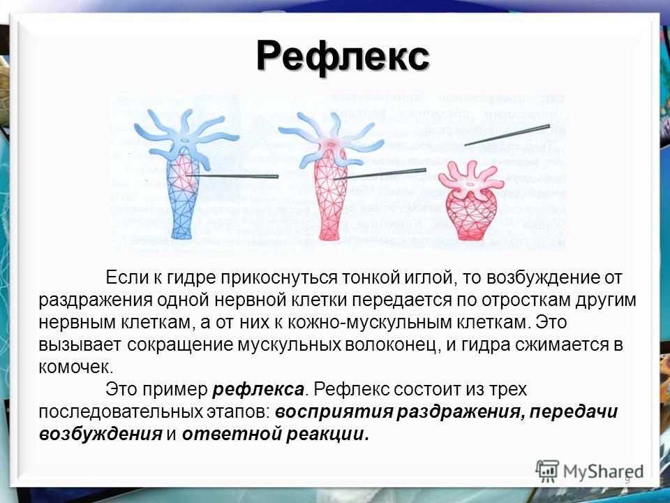 Кракен вход официальный сайт